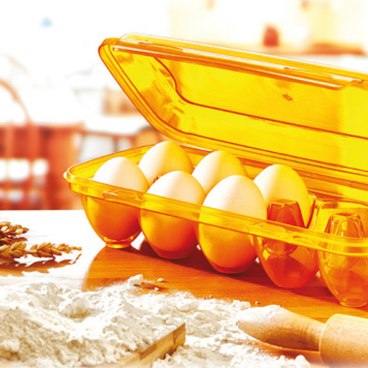 ظرف نگهدارنده تخم مرغ ایراک پلاستیک مدل YU-110