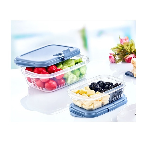 ظرف نگهدارنده هوبی لایف مدل Pushup کد 021524
